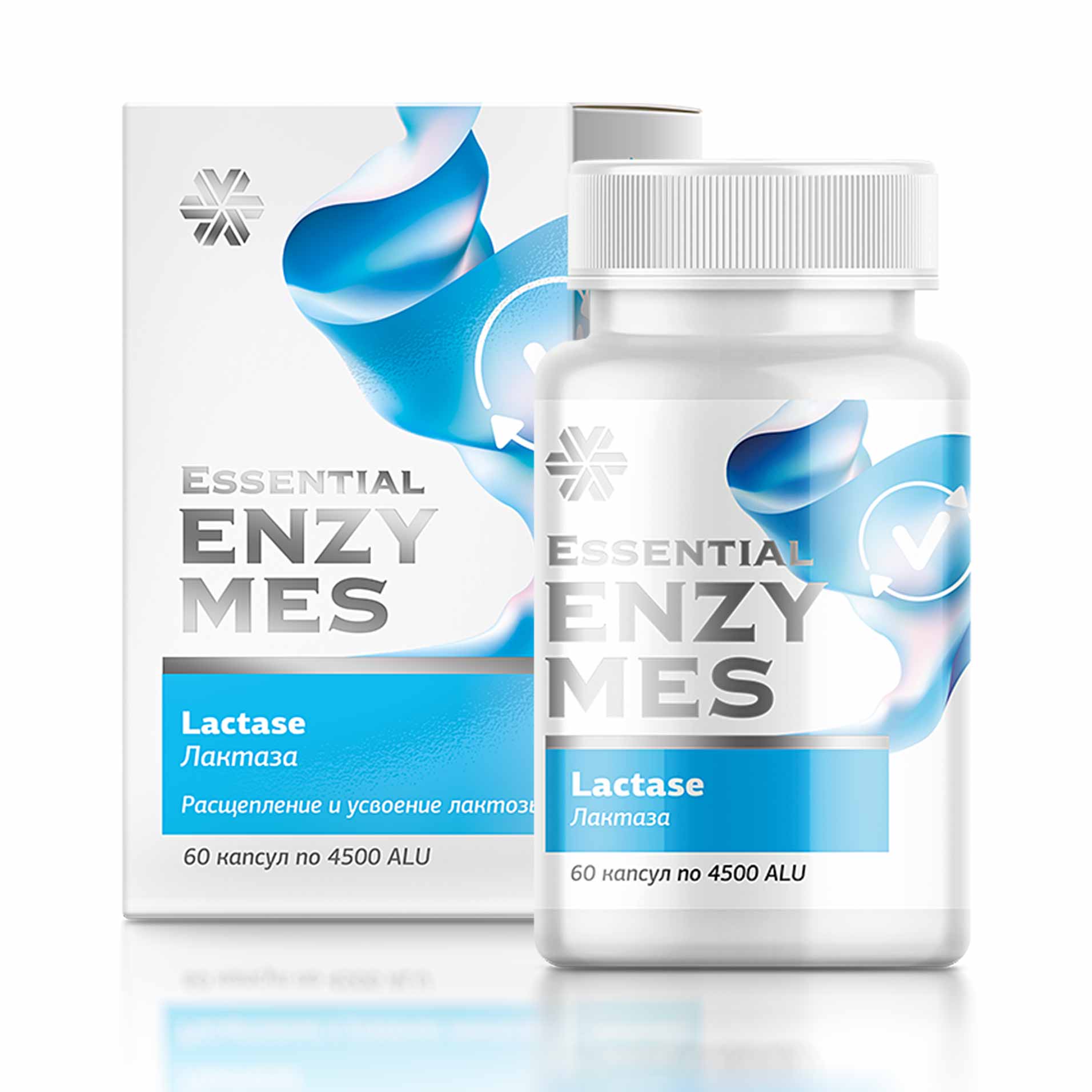 Essential Enzymes