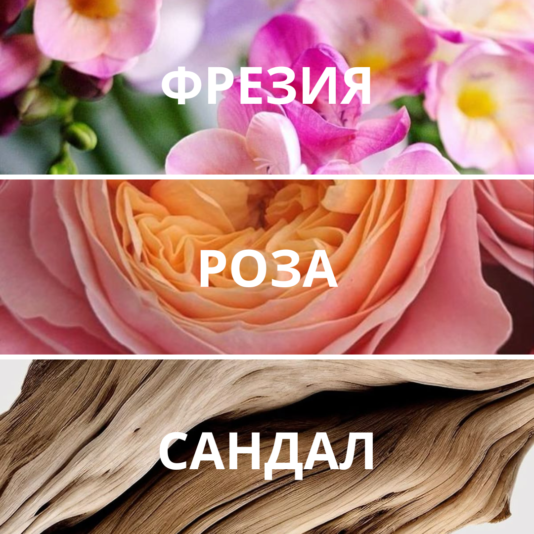 Набор миниатюр «Цветочные открытия»