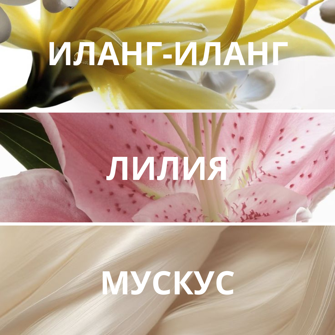 Набор миниатюр «Цветочные открытия»