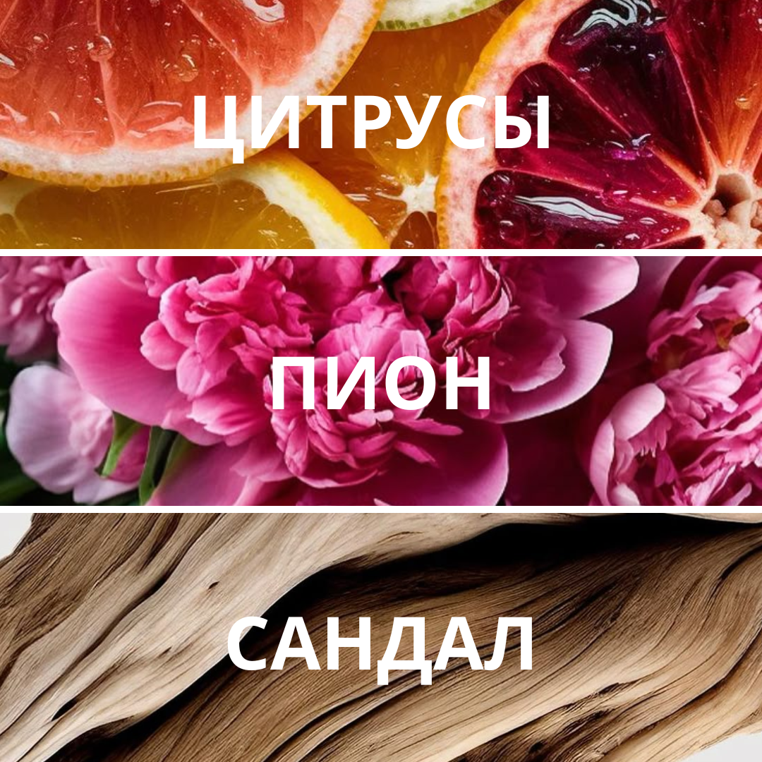 Набор миниатюр «Цветочные открытия»
